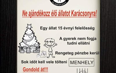 NE AJÁNDÉKOZZ ÁLLATOT KARÁCSONYRA!