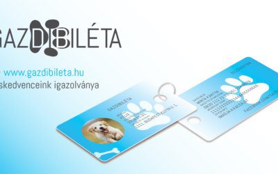 GAZDIBILÉTA!