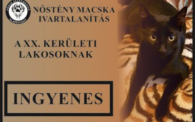 INGYENES IVARTALANÍTÁS A XX. KERÜLETBEN!