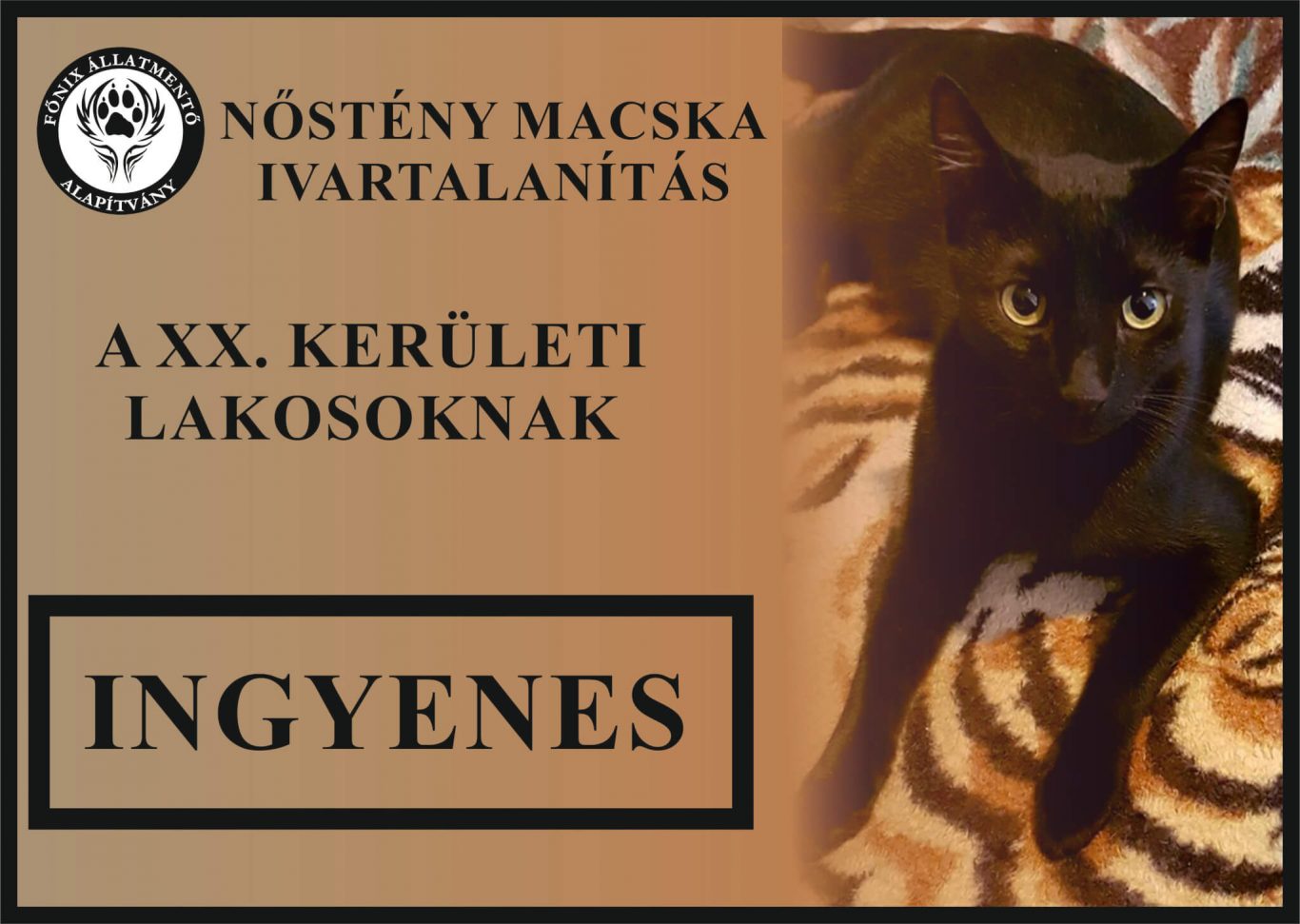INGYENES IVARTALANÍTÁS A XX. KERÜLETBEN!